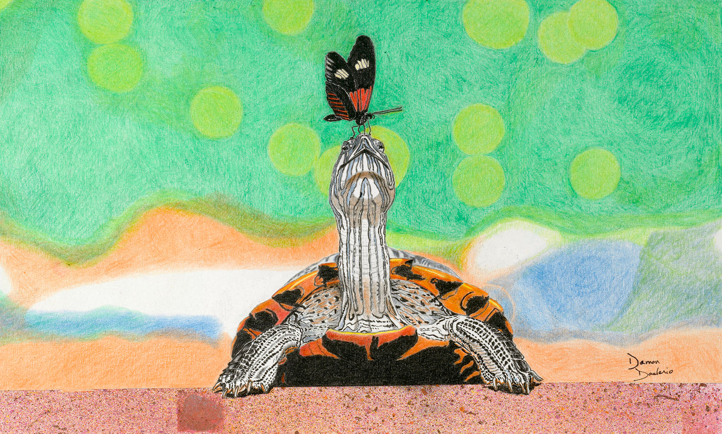 Turtle and Butterfly