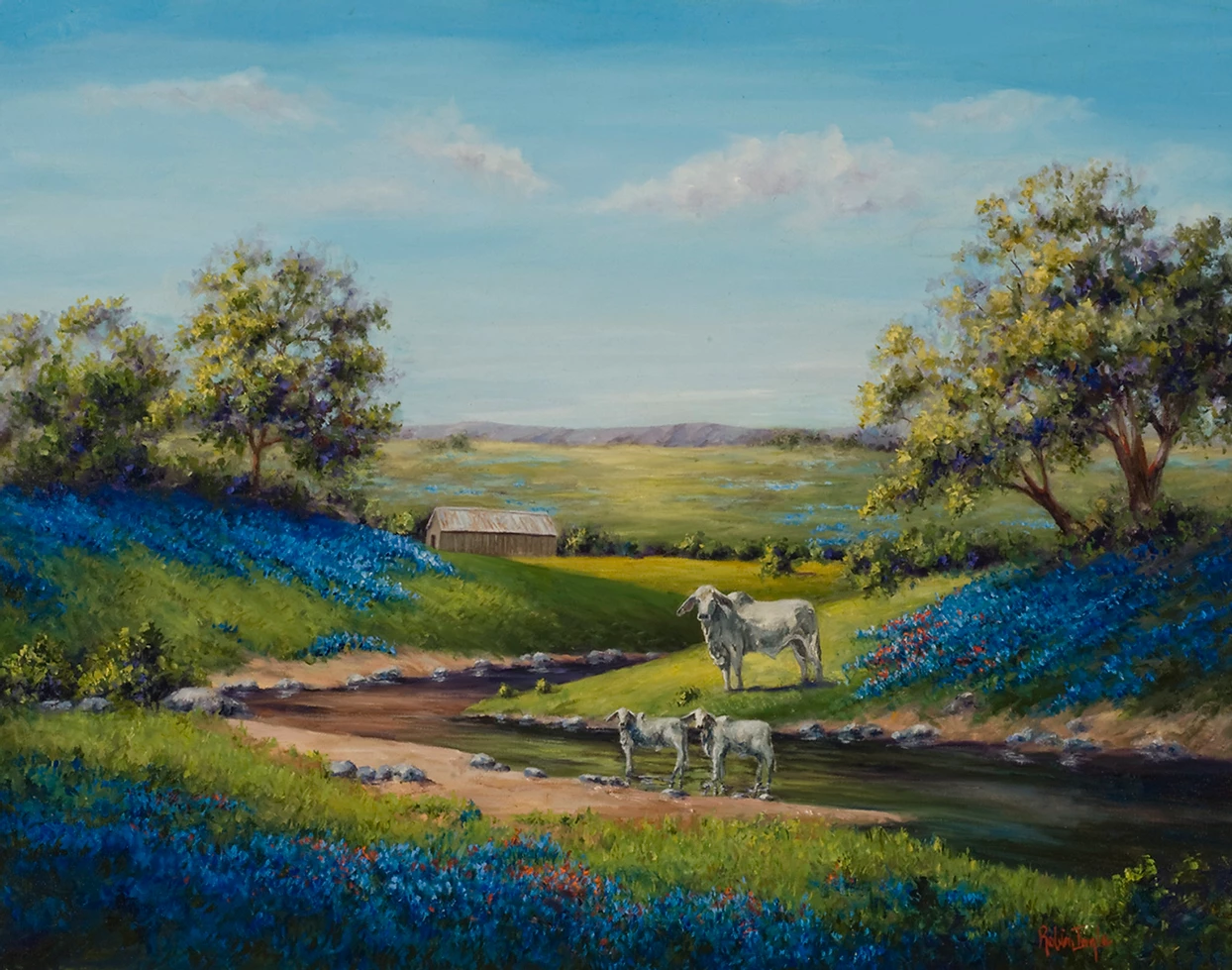 Brahman and the Blues - Artistic Transfer, LLC