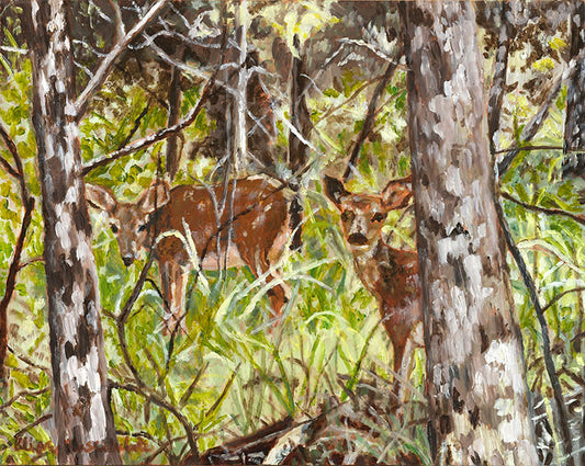 Curiosity - Artistic Transfer, LLC