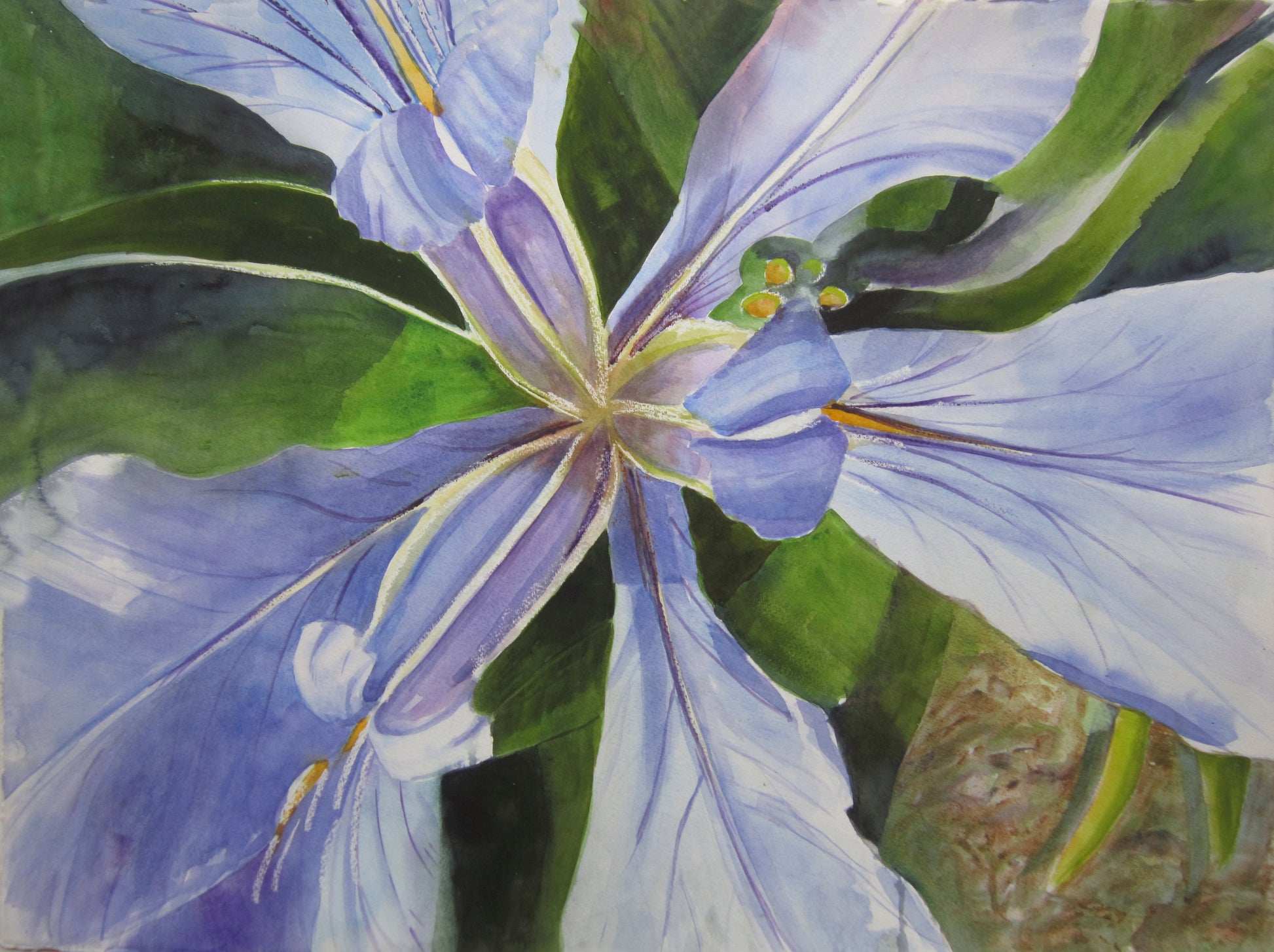 Pond Iris 3 - Artistic Transfer, LLC