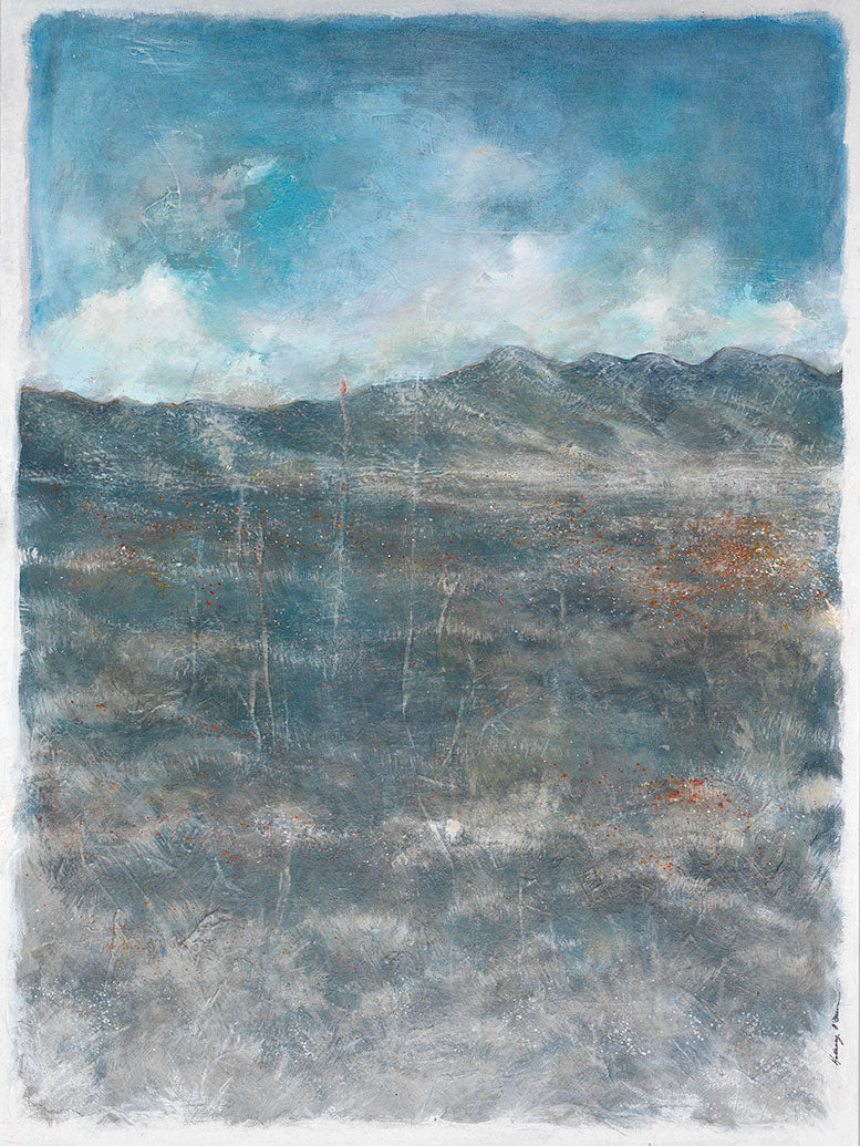Desert Floor