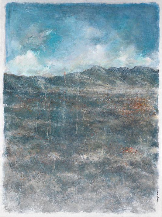 Desert Floor