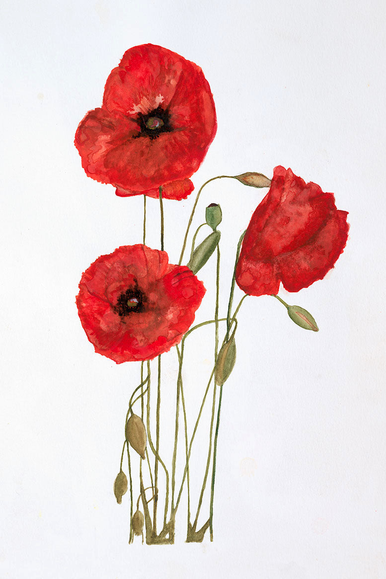 Poppies