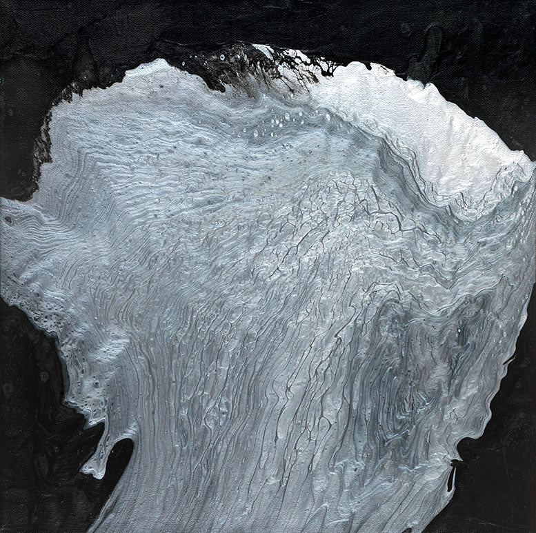 Silver Lining Fan Coral