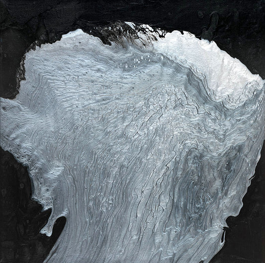 Silver Lining Fan Coral