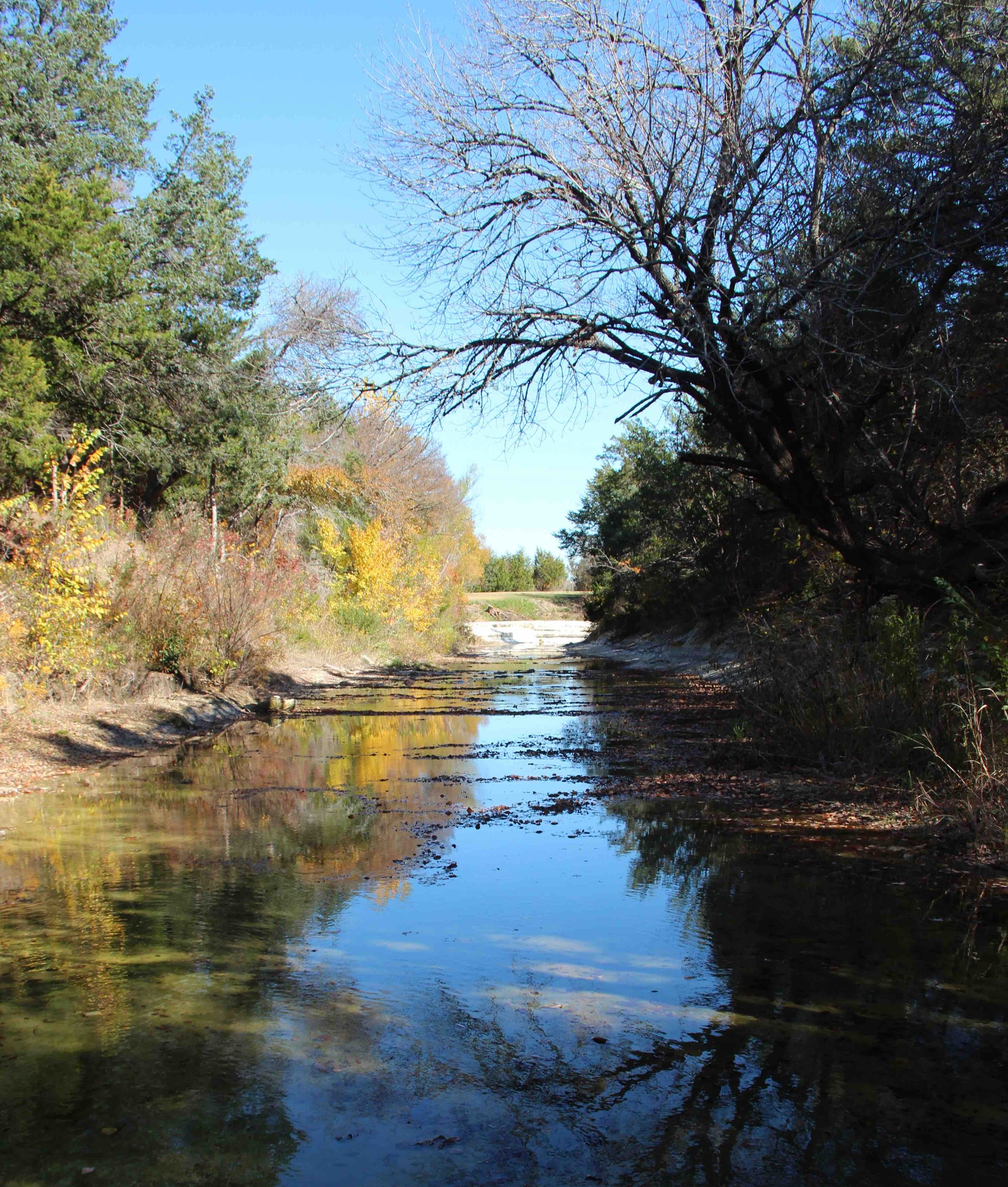 Ranch Fall 2013 - Artistic Transfer, LLC