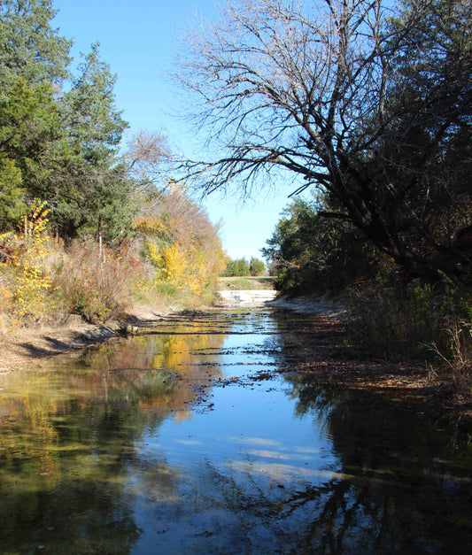 Ranch Fall 2013 - Artistic Transfer, LLC