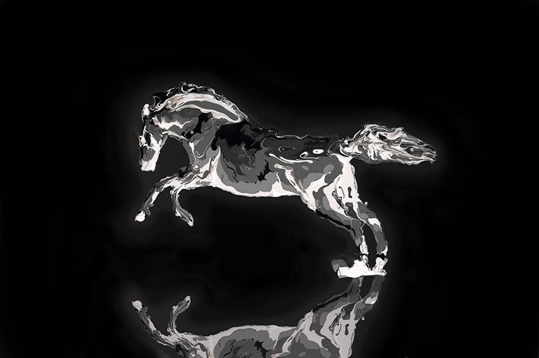 Black Beauty - Horse - Artistic Transfer, LLC