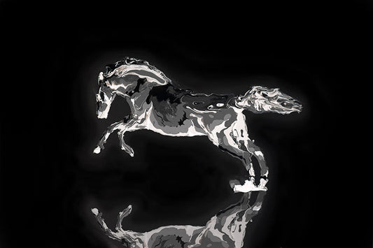 Black Beauty - Horse - Artistic Transfer, LLC