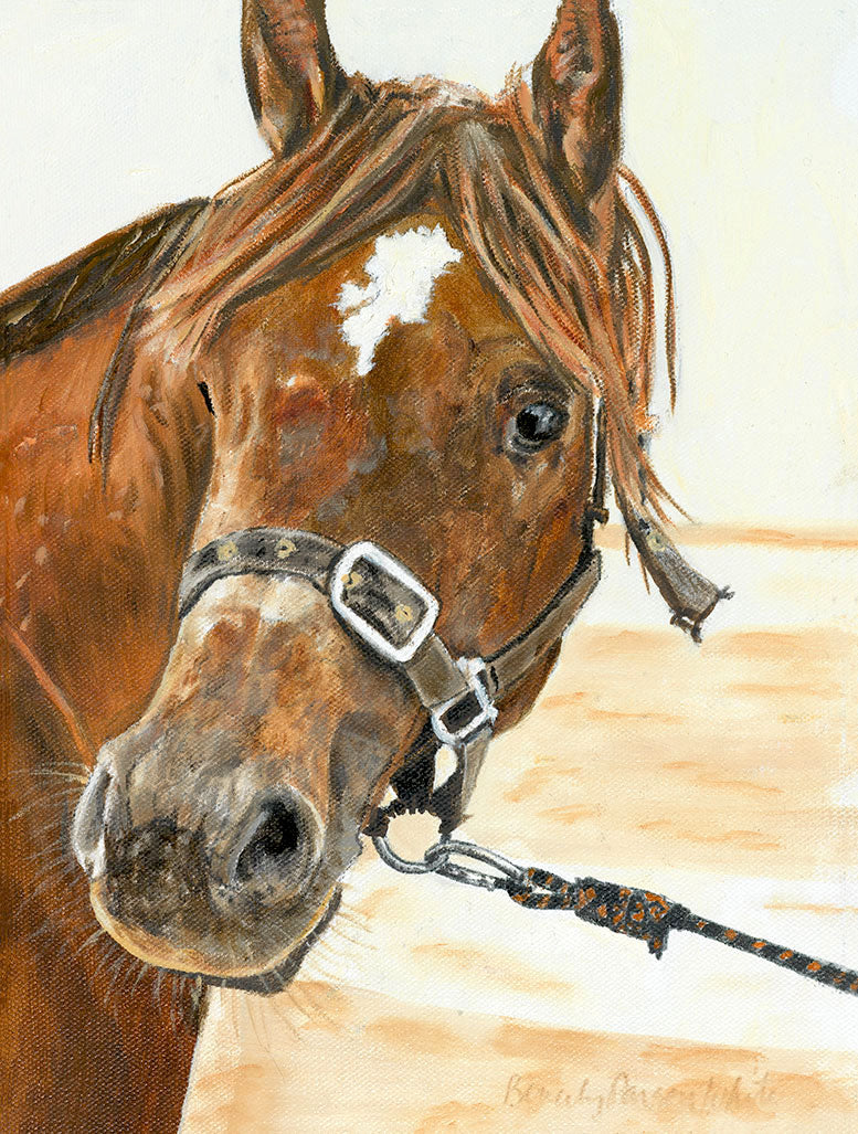 Star - Horse - Artistic Transfer, LLC