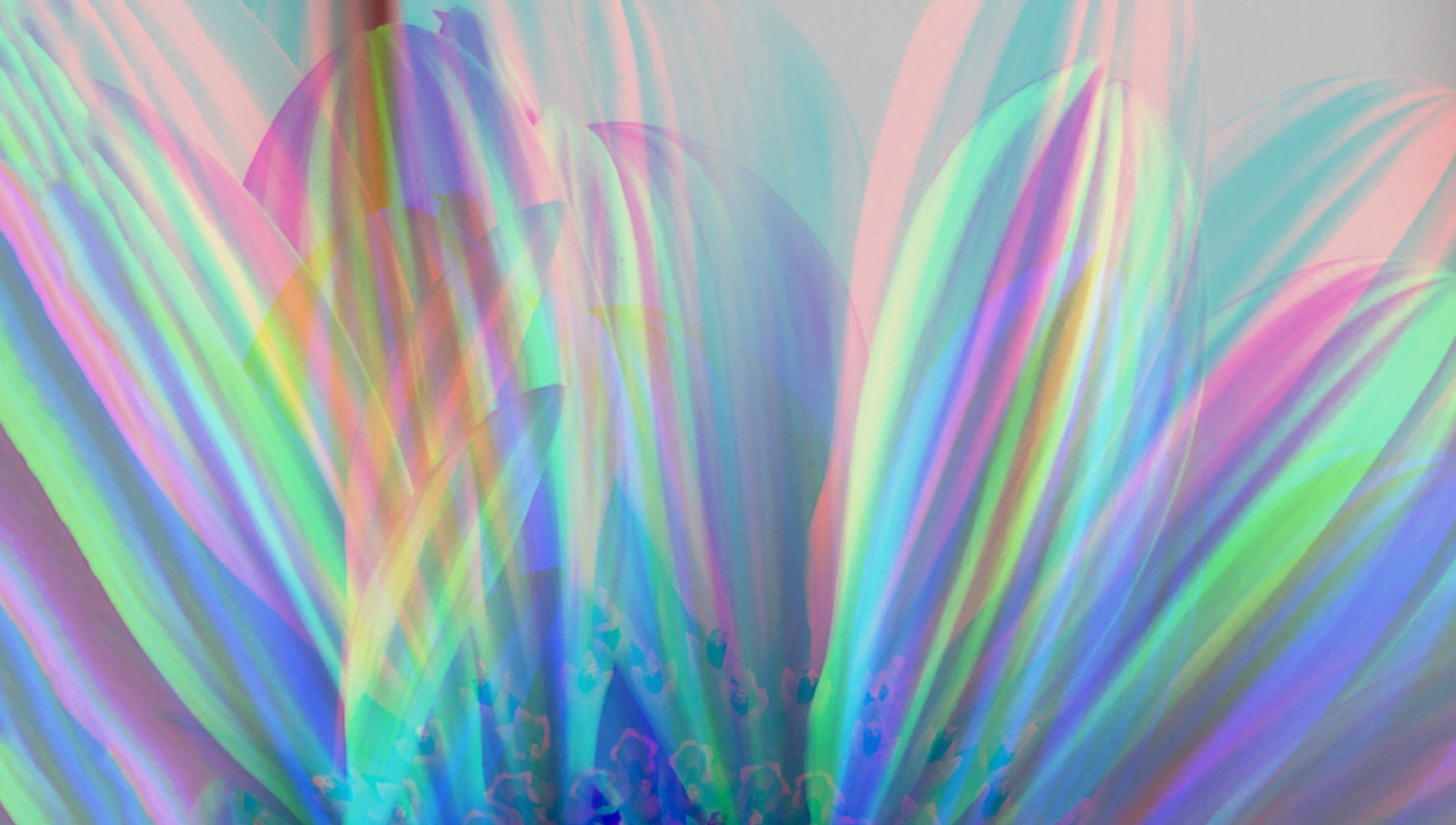 Flower Patel Aura - Artistic Transfer, LLC