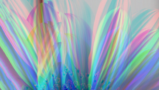 Flower Patel Aura - Artistic Transfer, LLC