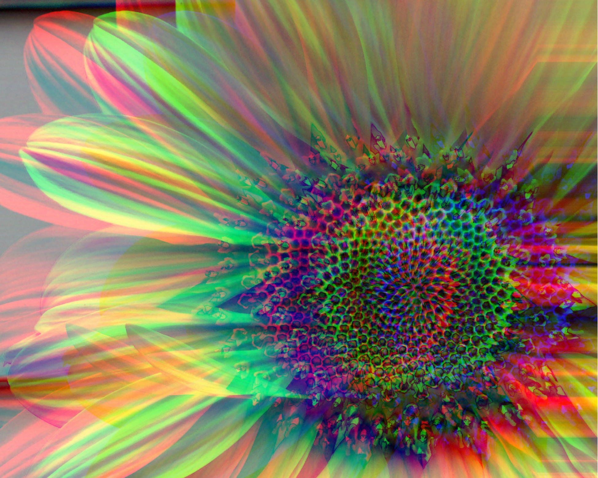 Sunny Thoughts - Artistic Transfer, LLC