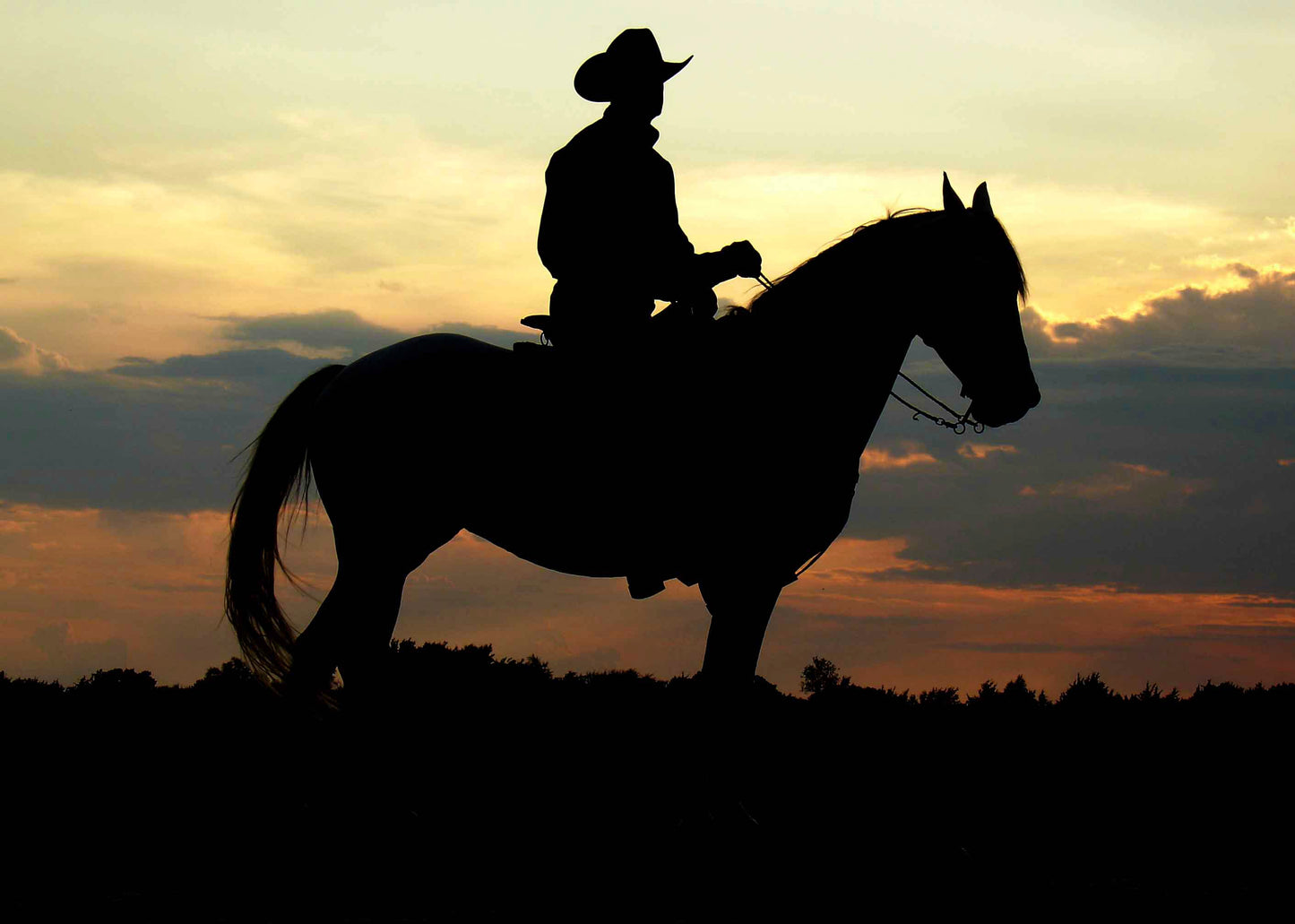 Texas Sunset Trans - Artistic Transfer, LLC