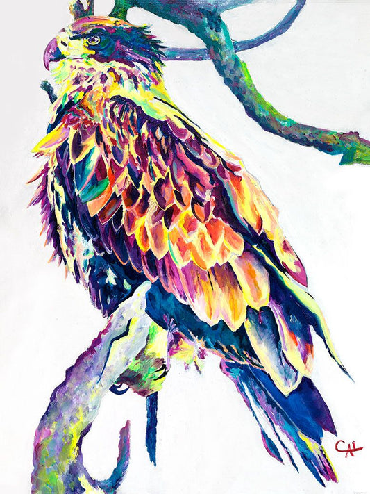 The Surveyor - Artistic Transfer, LLC