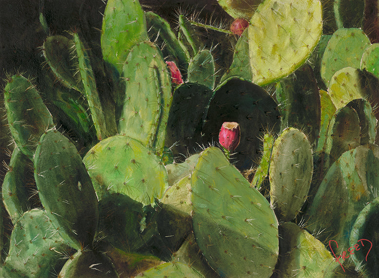 Cactus