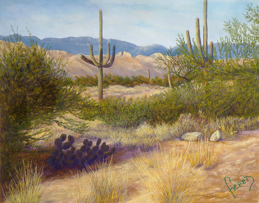 Desert Saguaro