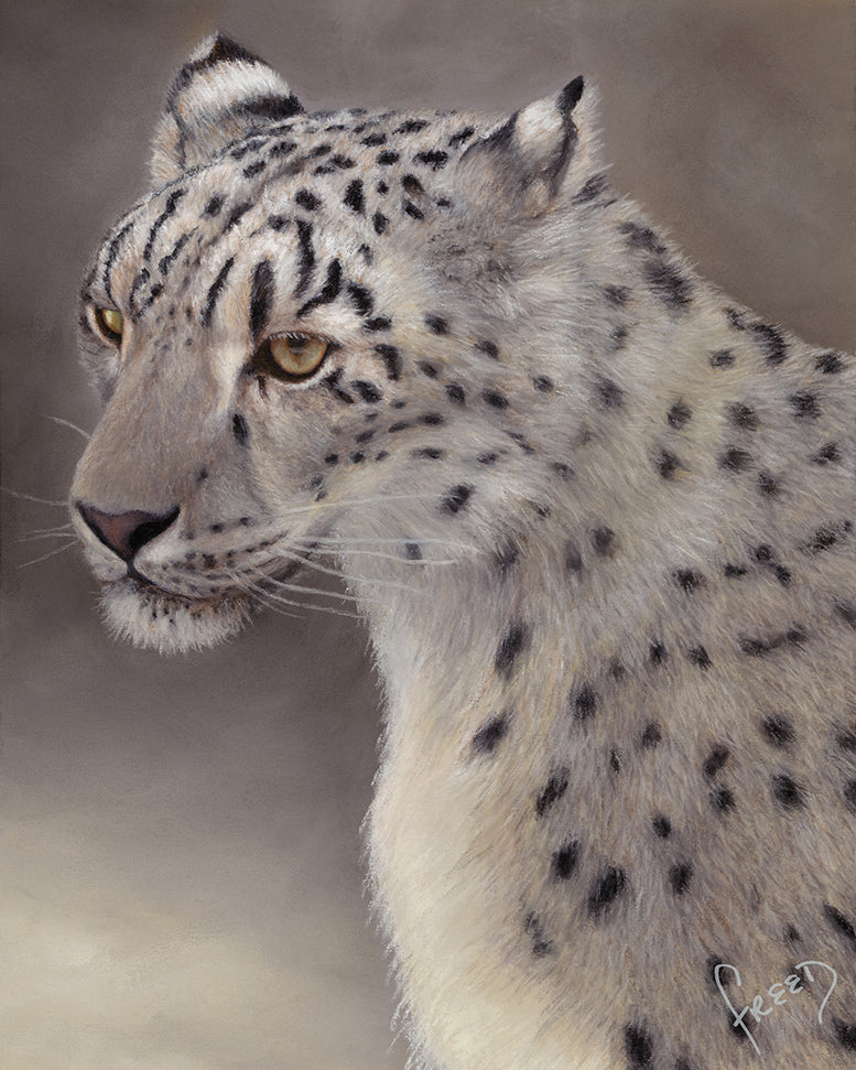 Snow Leopard