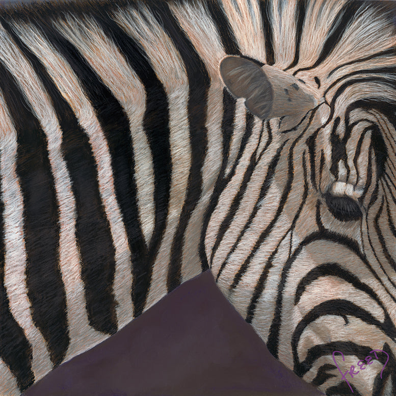 Stripesii