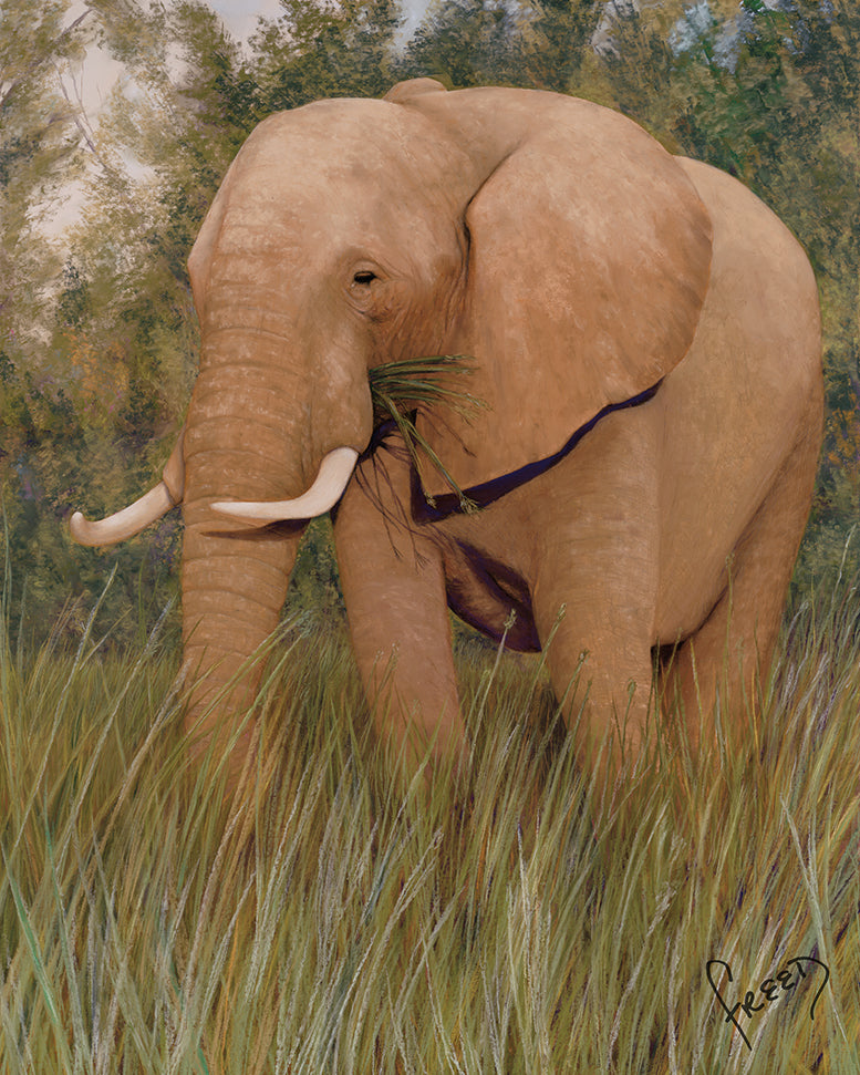 Tembo