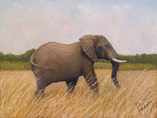 Walk Through Zimbabwe