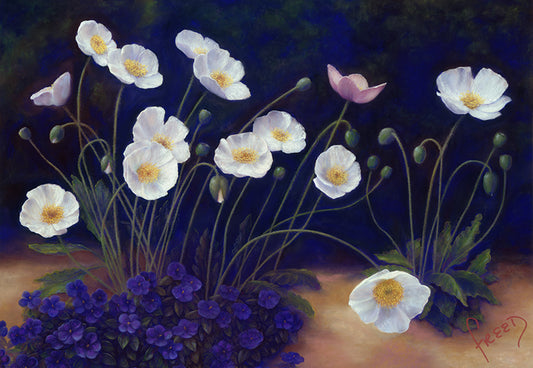 White Poppies
