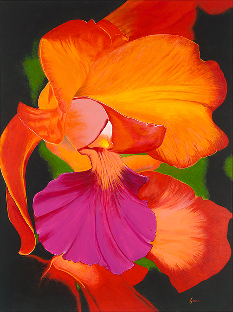 Tropical Splendor Orchid