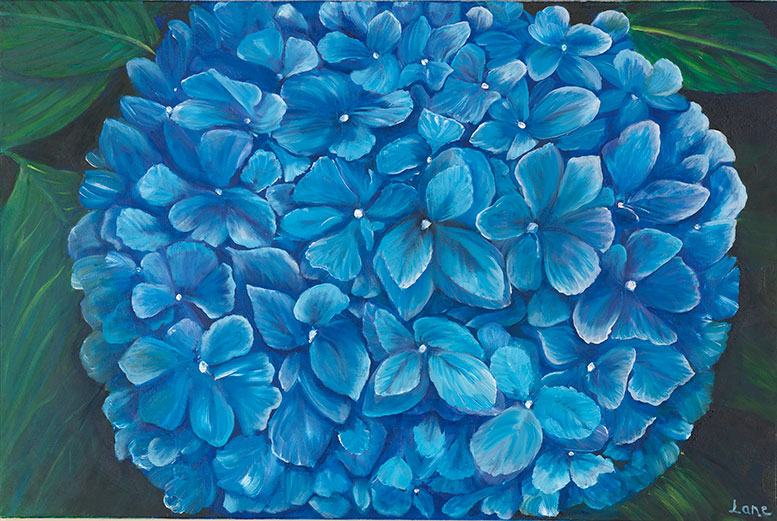 Blue Hydrangea - Artistic Transfer, LLC