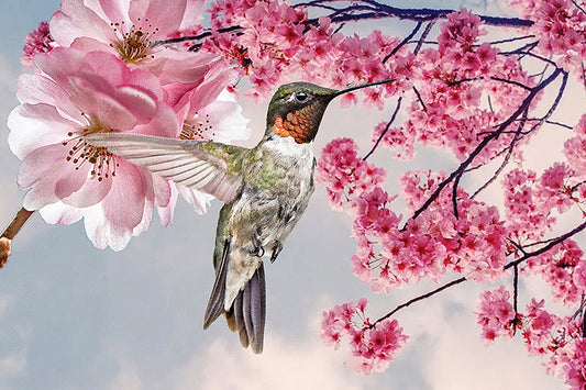 Heart of Hummingbirds - Artistic Transfer, LLC