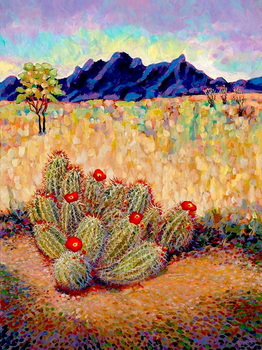 New Mexico Optima Cactus - Artistic Transfer, LLC