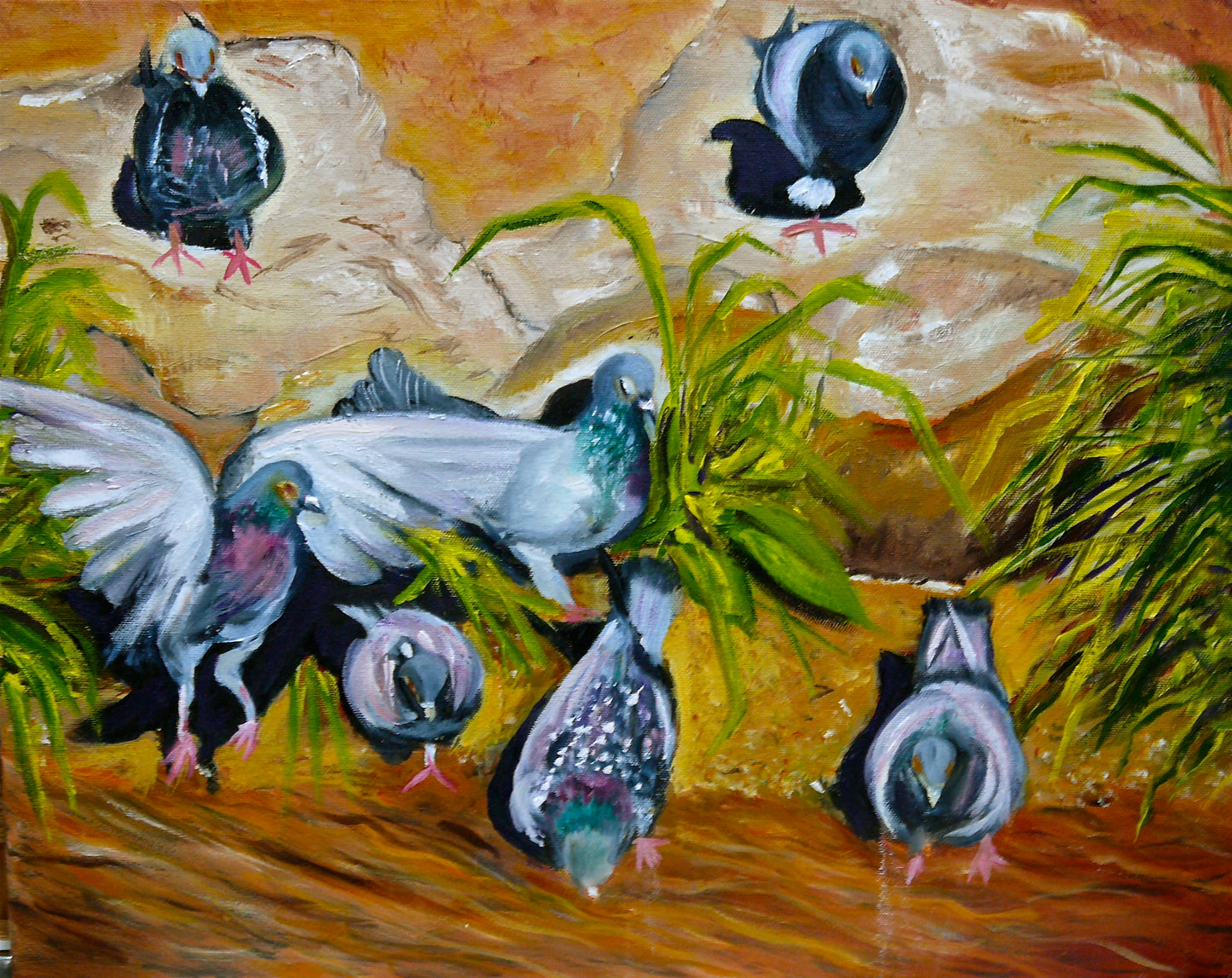 Pigeons at Rancho de Chimayo - Artistic Transfer, LLC