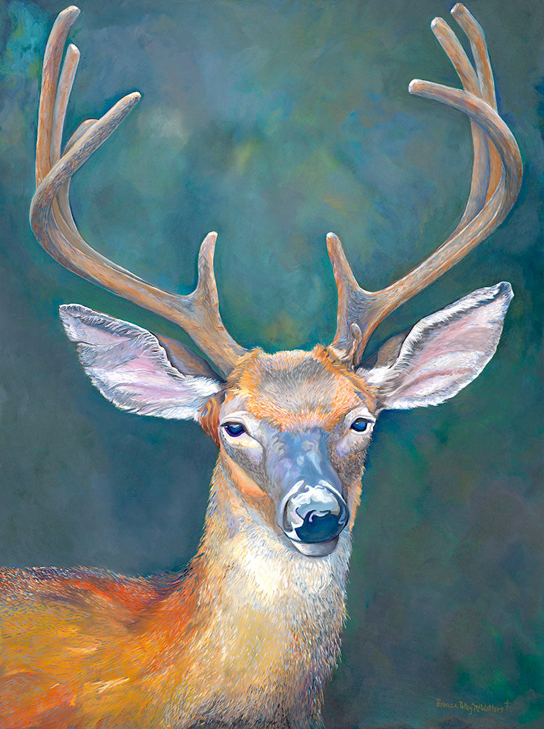Cimarron the Deer - Artistic Transfer, LLC