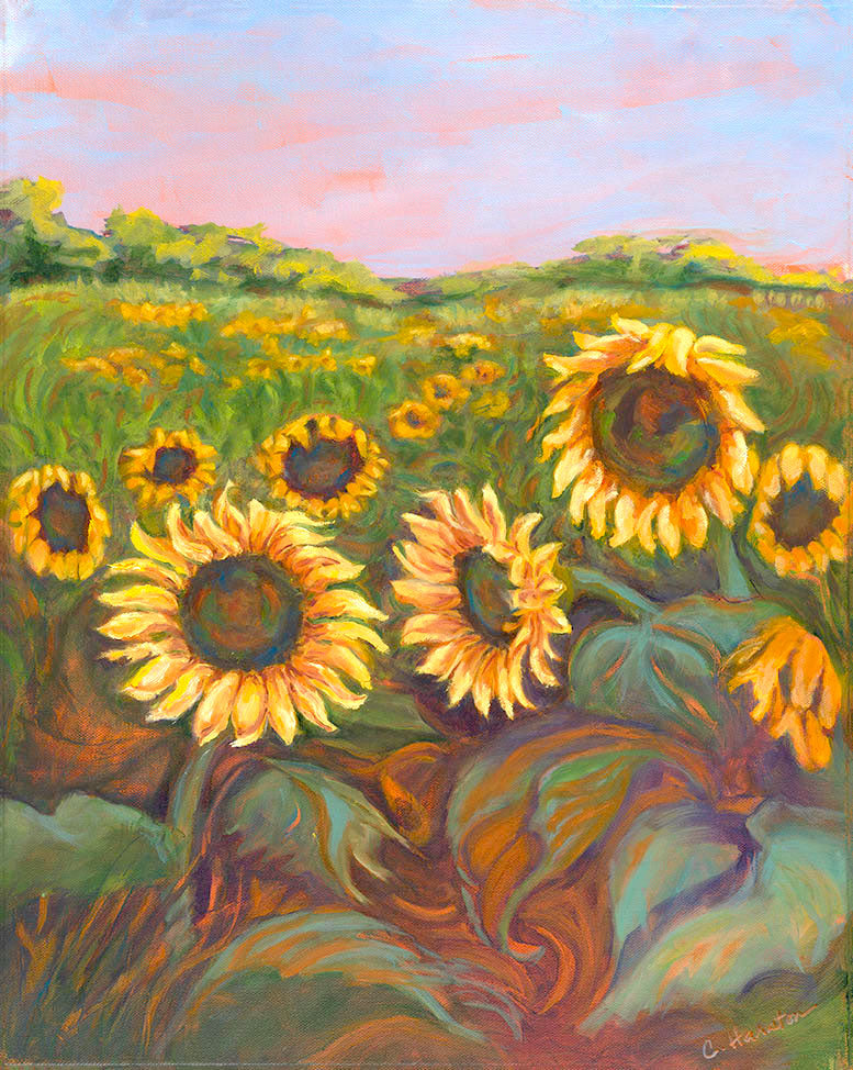 Summer Sunflowers in West Texas - Artistic Transfer, LLC