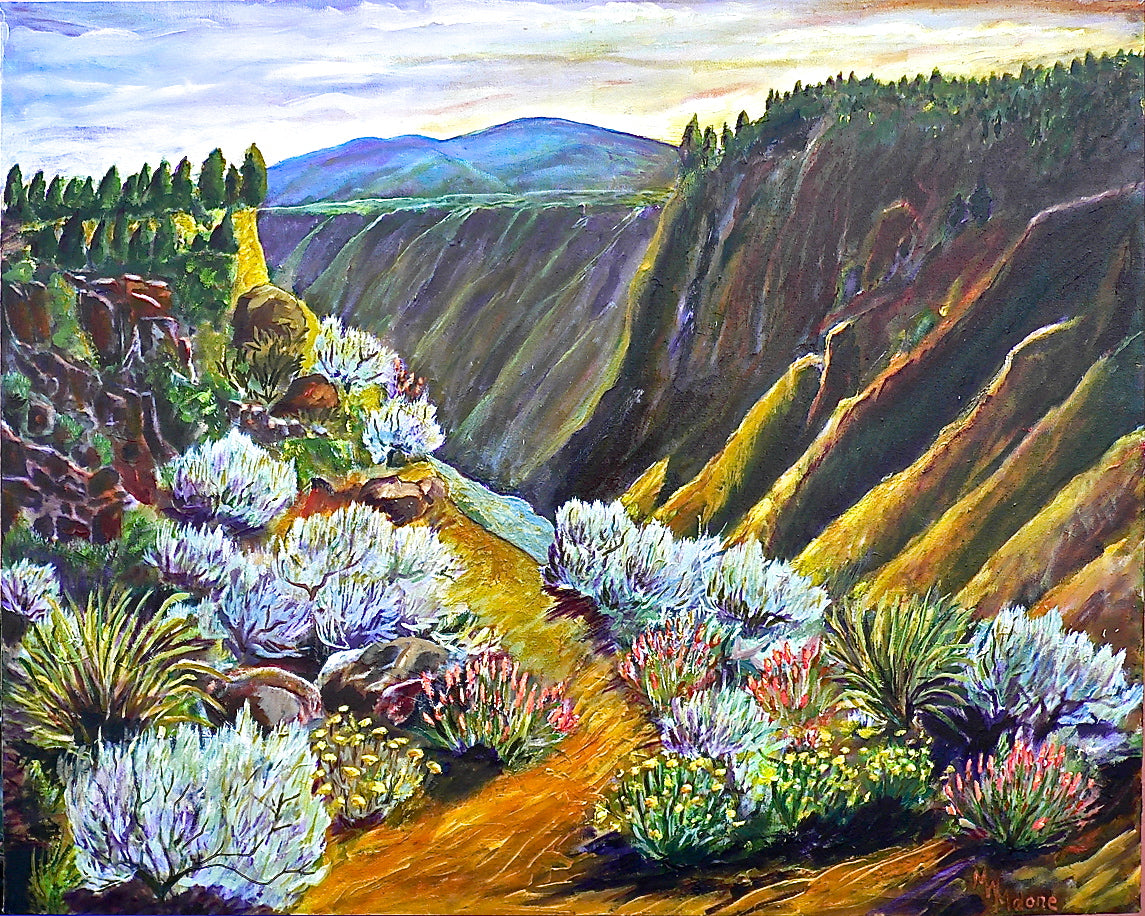 Wild Rivers, New Mexico - Artistic Transfer, LLC