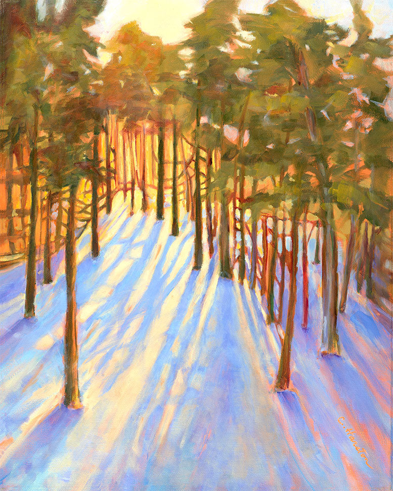 Winter Pines in Angelfire - Artistic Transfer, LLC